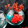 43407 Ваза (FLORA)